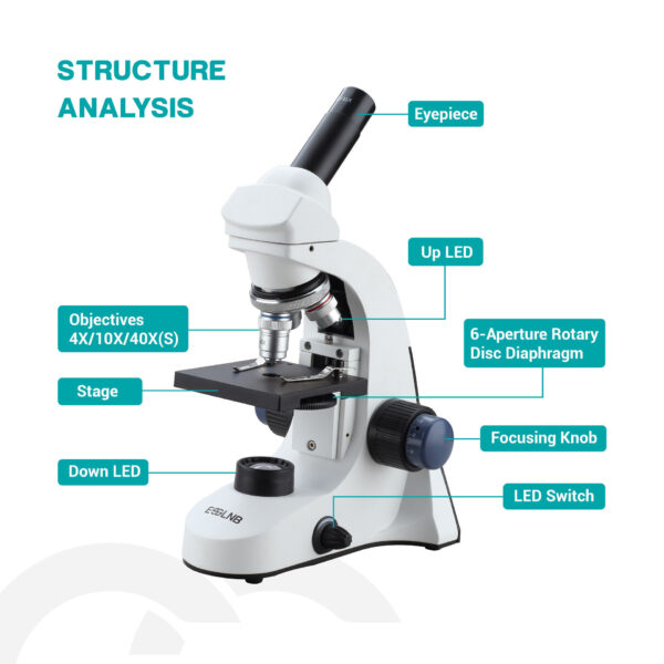 ESSLNB Microscope 1040 Student Microscope for Kids 40X-1000X LED Biological Light Microscope with Slides and Phone Adapter All-Metal Optical Glass Lenses. - Image 4